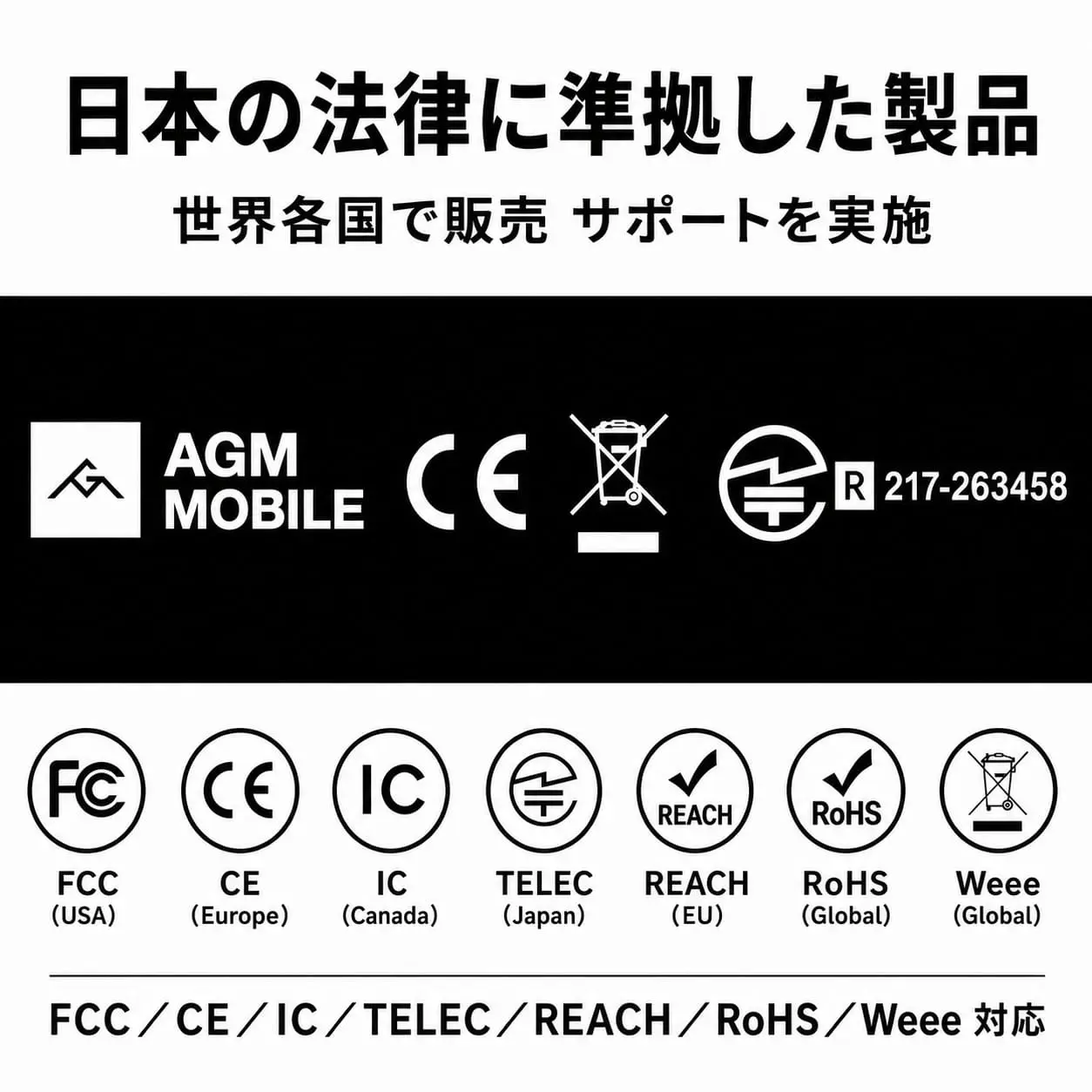AGM PAD P3 技術基準適合